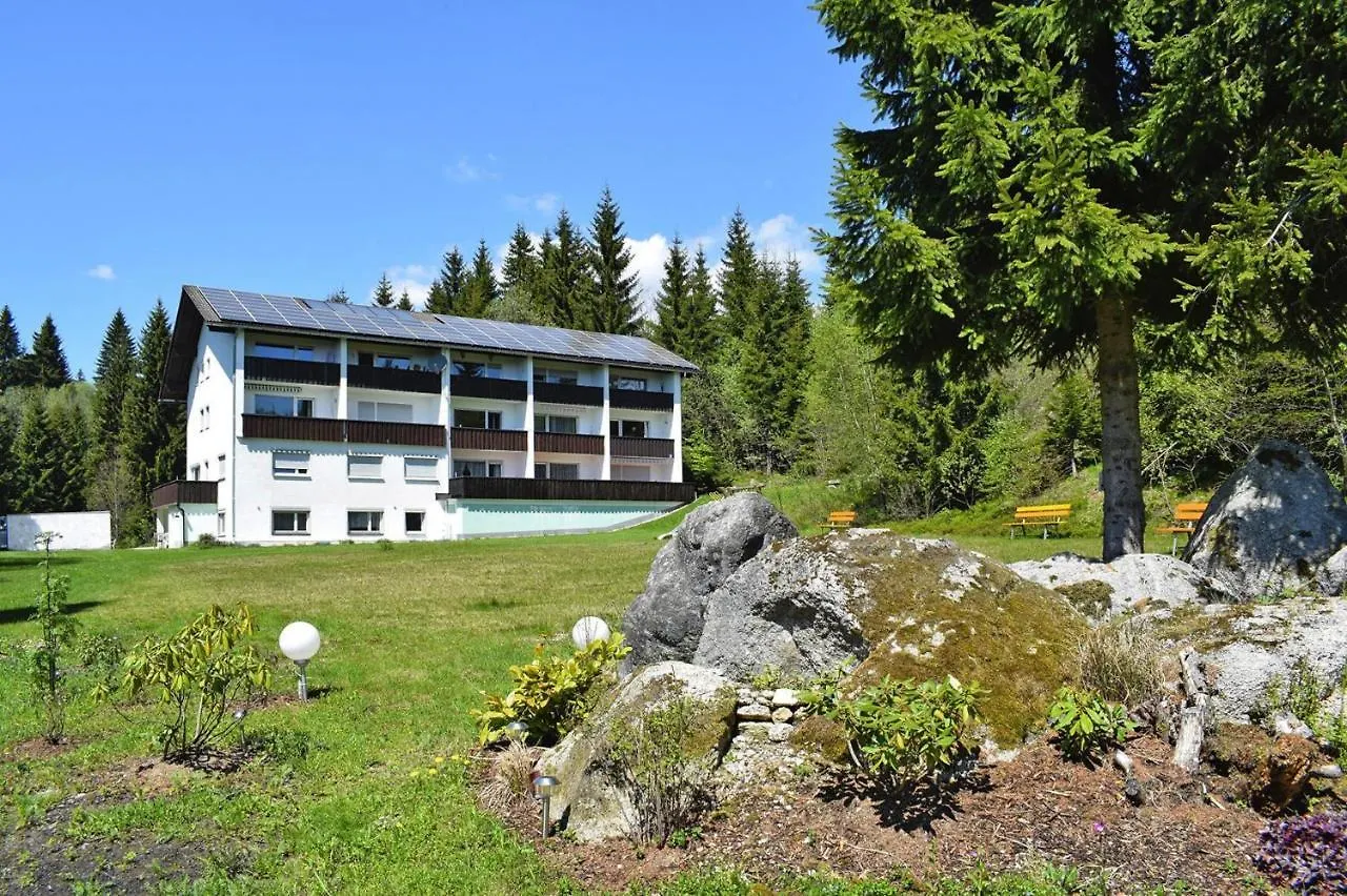 Apartment In Haidmuehle With Balcony Or Terrace 0*, Haidmuhle